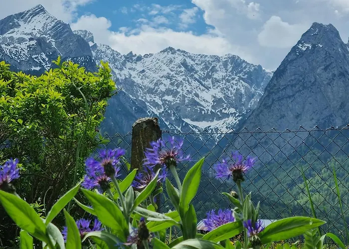Haus Kreuzeckwiese - Self Catering * Garmisch-Partenkirchen